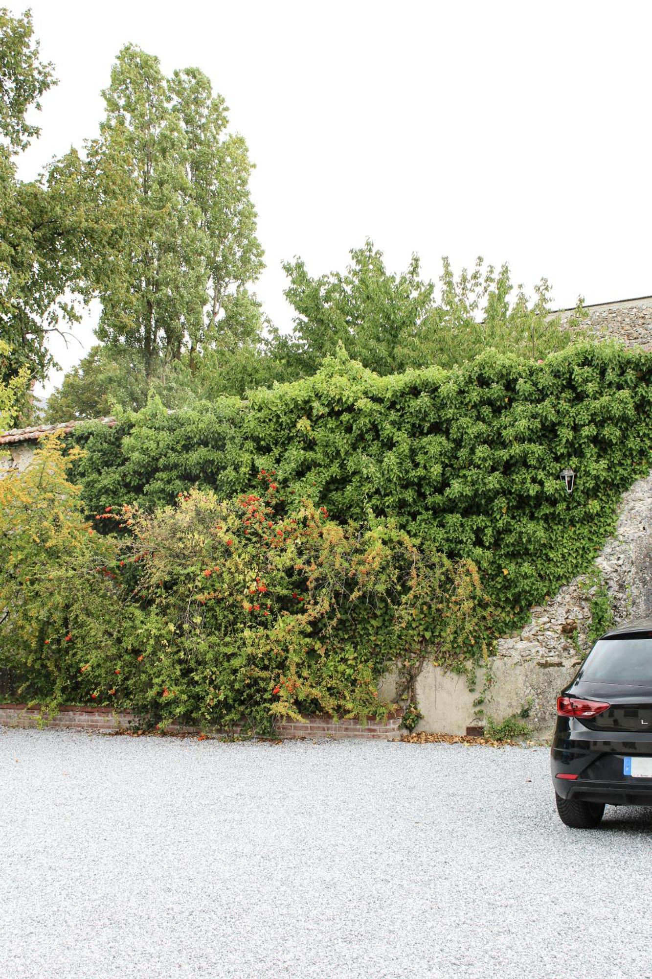 Rêve Champenois Chambres d'Hôtes Rilly-la-Montagne Exterior foto